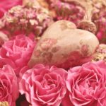 Aries y Géminis como pareja